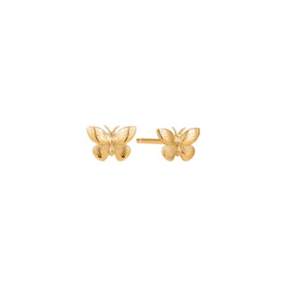 NWT Lexi Butterfly Studs // 10k Solid Gold